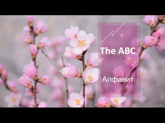 The ABC Алфавит