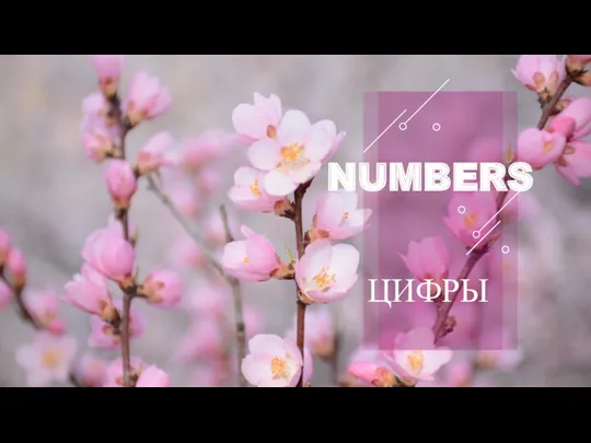 NUMBERS ЦИФРЫ