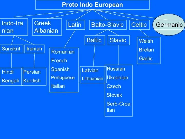 Proto Indo European Germanic Celtic Balto-Slavic Latin Greek Albanian Indo-Iranian
