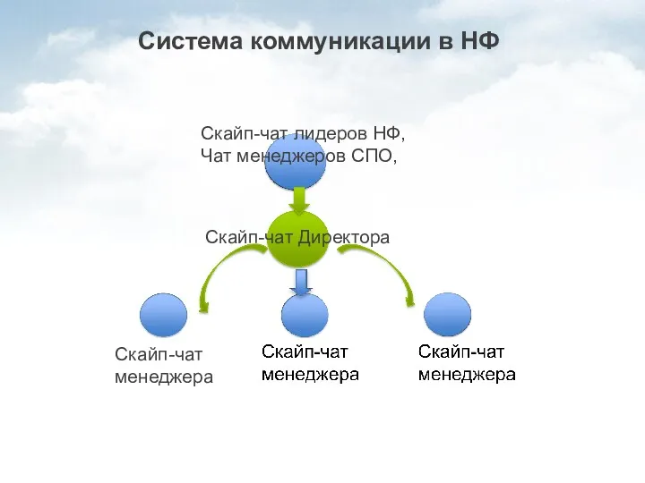 Система коммуникации в НФ Скайп-чат лидеров НФ, Чат менеджеров СПО, Скайп-чат Директора Скайп-чат менеджера