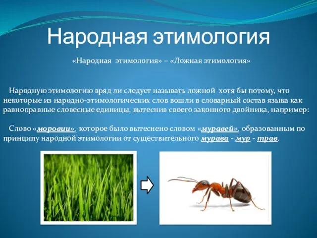 Народная этимология «Народная этимология» – «Ложная этимология» Народную этимологию вряд