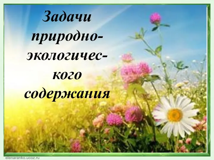 Задачи природно-экологичес-кого содержания