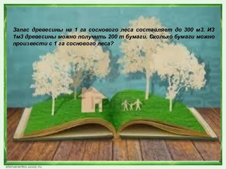 Запас древесины на 1 га соснового леса составляет до 300