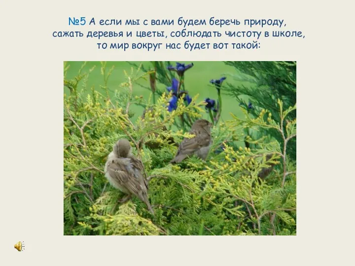 №5 А если мы с вами будем беречь природу, сажать