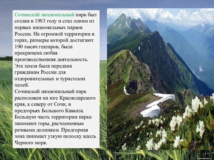 Сочинский национальный парк был создан в 1983 году и стал