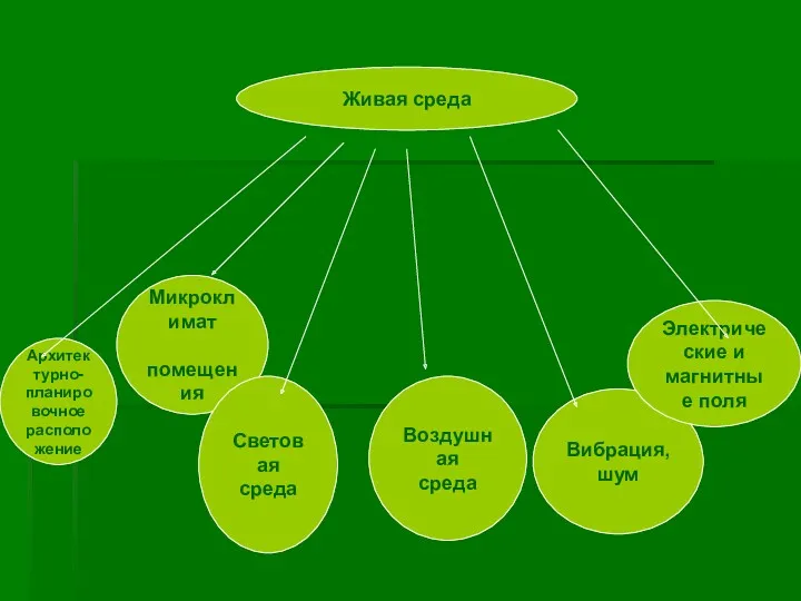 Живая среда Архитектурно- планировочное расположение Микроклимат помещения Световая среда Воздушная