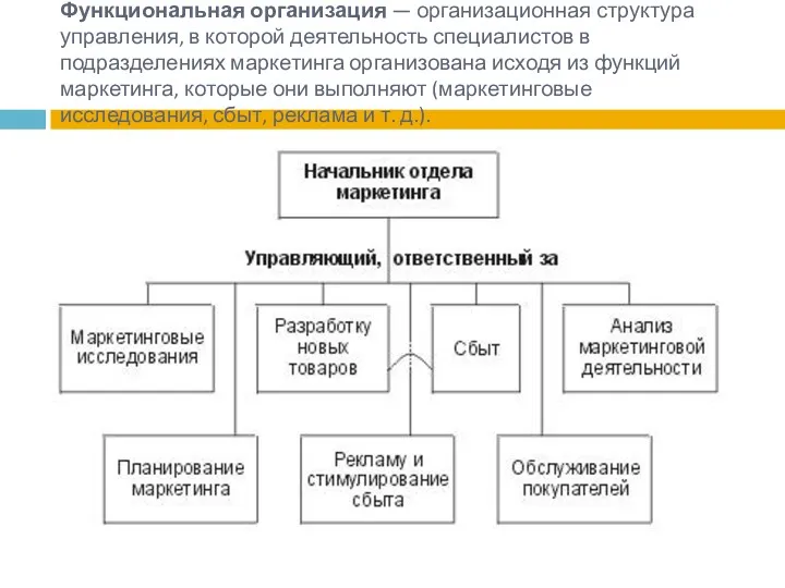 Функциональная организация — организационная структура управления, в которой деятельность специалистов