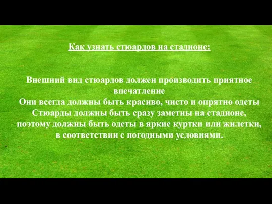 Как узнать стюардов на стадионе: Внешний вид стюардов должен производить