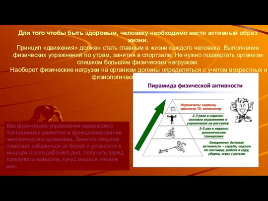 Для того чтобы быть здоровым, человеку необходимо вести активный образ