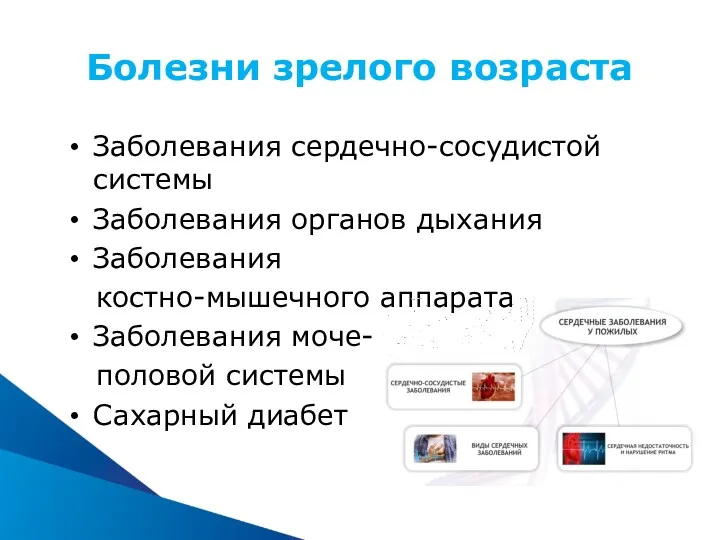 Болезни зрелого возраста Заболевания сердечно-сосудистой системы Заболевания органов дыхания Заболевания