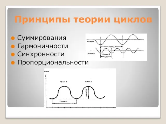 Принципы теории циклов Суммирования Гармоничности Синхронности Пропорциональности