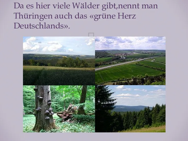 Da es hier viele Wälder gibt,nennt man Thüringen auch das «grüne Herz Deutschlands».