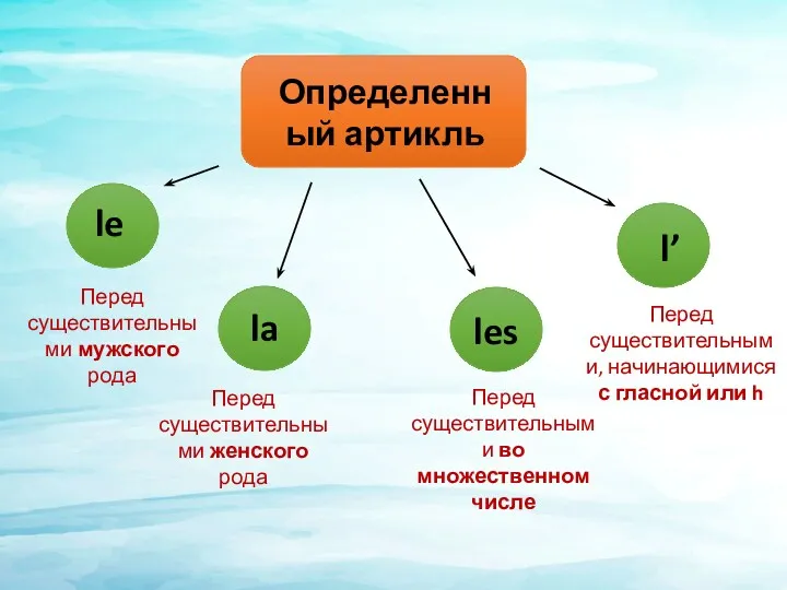 Определенный артикль le la les l’ Перед существительными мужского рода