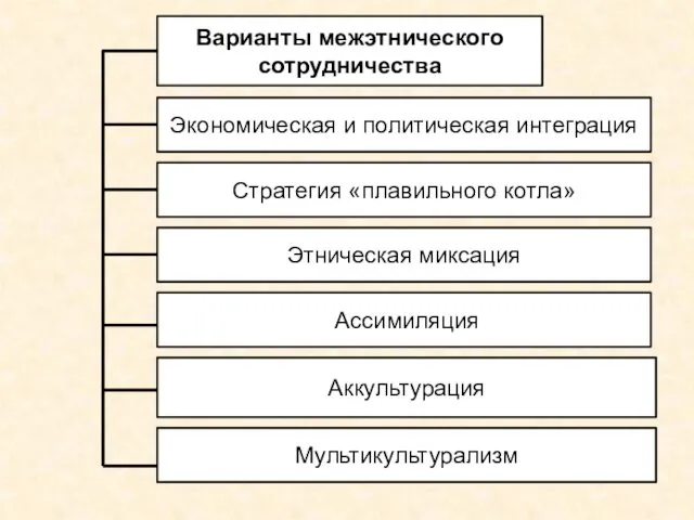 Варианты межэтнического сотрудничества Экономическая и политическая интеграция Стратегия «плавильного котла» Этническая миксация Ассимиляция Аккультурация Мультикультурализм