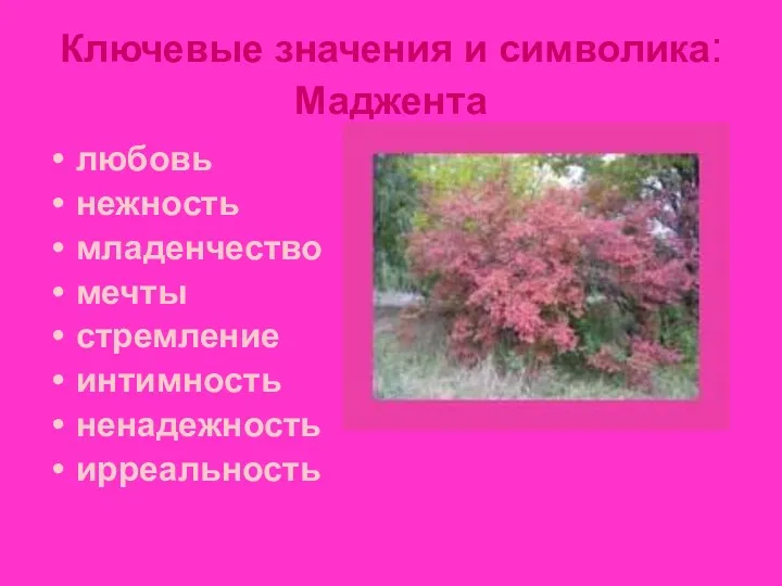 Ключевые значения и символика: Маджента любовь нежность младенчество мечты стремление интимность ненадежность ирреальность