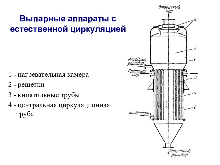 Выпарные аппараты с естественной циркуляцией 1 - нагревательная камера 2