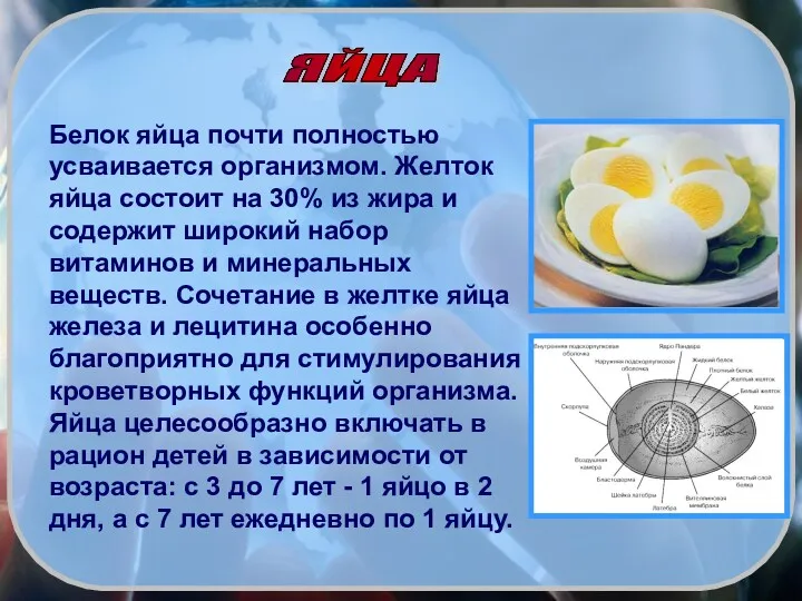 Белок яйца почти полностью усваивается организмом. Желток яйца состоит на