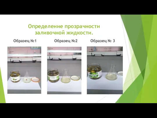 Определение прозрачности заливочной жидкости. Образец №1 Образец №2 Образец № 3