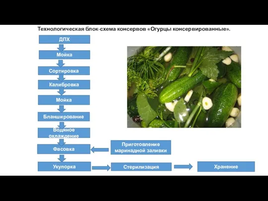 Технологическая блок-схема консервов «Огурцы консервированные». ДПХ Мойка Сортировка Калибровка Мойка