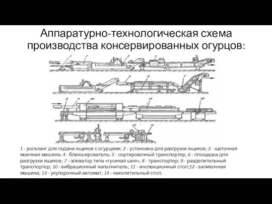 Аппаратурно-технологическая схема производства консервированных огурцов: 1 - рольганг для подачи