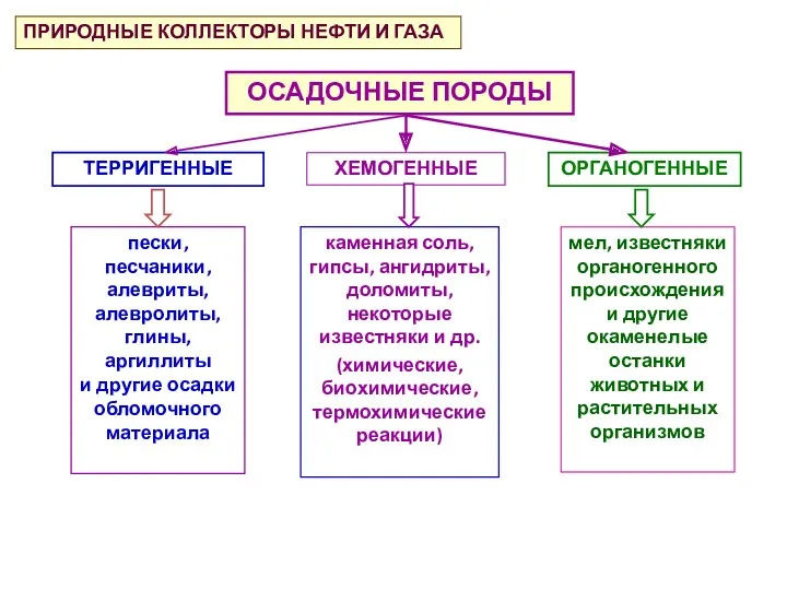 ПРИРОДНЫЕ КОЛЛЕКТОРЫ НЕФТИ И ГАЗА ОСАДОЧНЫЕ ПОРОДЫ ТЕРРИГЕННЫЕ ХЕМОГЕННЫЕ ОРГАНОГЕННЫЕ