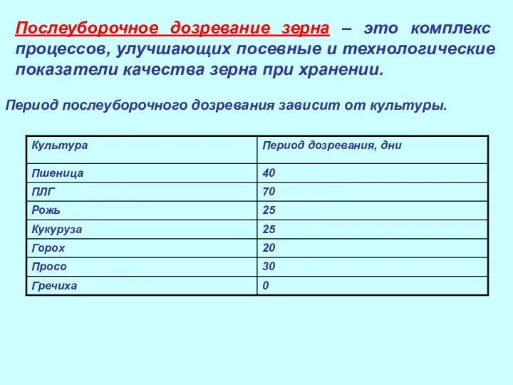 Послеуборочное дозревание зерна – это комплекс процессов, улучшающих посевные и