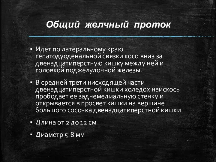 Общий желчный проток Идет по латеральному краю гепатодуоденальной связки косо