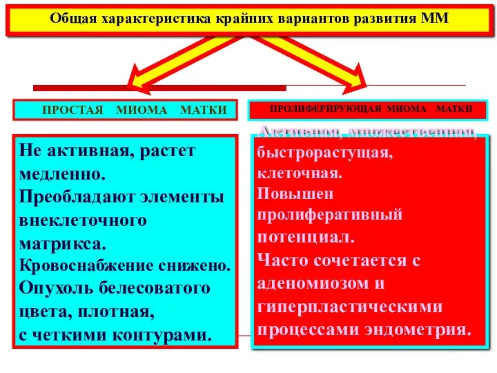 Не активная, растет медленно. Преобладают элементы внеклеточного матрикса. Кровоснабжение снижено. Опухоль белесоватого цвета,