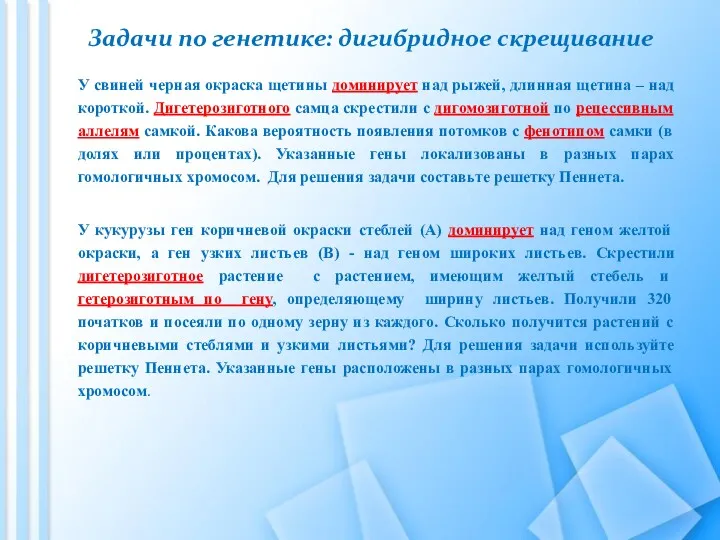 Задачи по генетике: дигибридное скрещивание У свиней черная окраска щетины доминирует над рыжей,