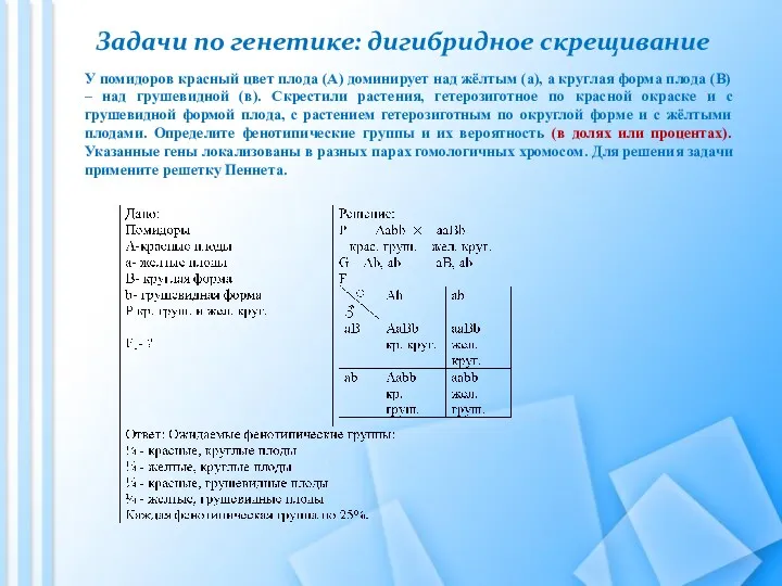 Задачи по генетике: дигибридное скрещивание У помидоров красный цвет плода