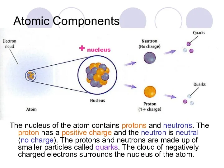 Atomic Components The nucleus of the atom contains protons and