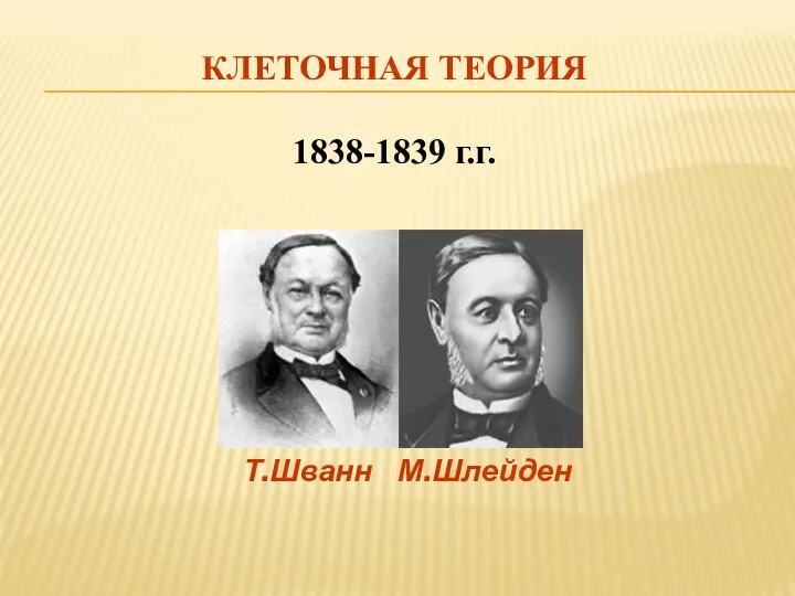 КЛЕТОЧНАЯ ТЕОРИЯ 1838-1839 г.г. Т.Шванн М.Шлейден