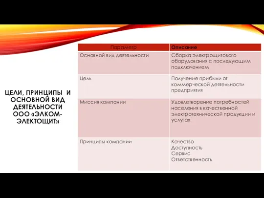 ЦЕЛИ, ПРИНЦИПЫ И ОСНОВНОЙ ВИД ДЕЯТЕЛЬНОСТИ ООО «ЭЛКОМ-ЭЛЕКТОЩИТ»