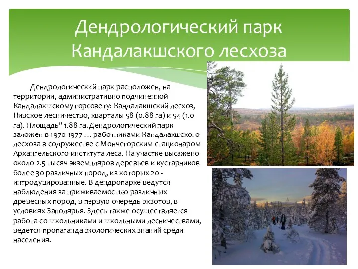 Дендрологический парк расположен, на территории, административно подчиненной Кандалакшскому горсовету: Кандалакшский