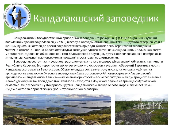 Кандалакшский государственный природный заповедник Учрежден в 1932 г. для охраны