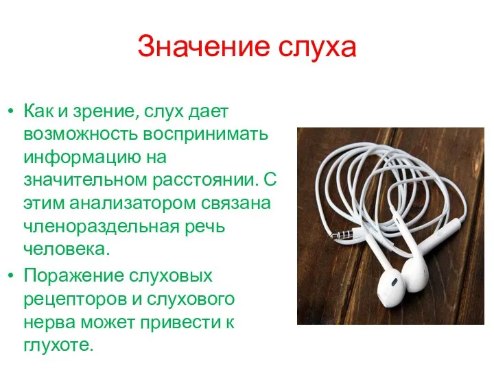 Значение слуха Как и зрение, слух дает возможность воспринимать информацию