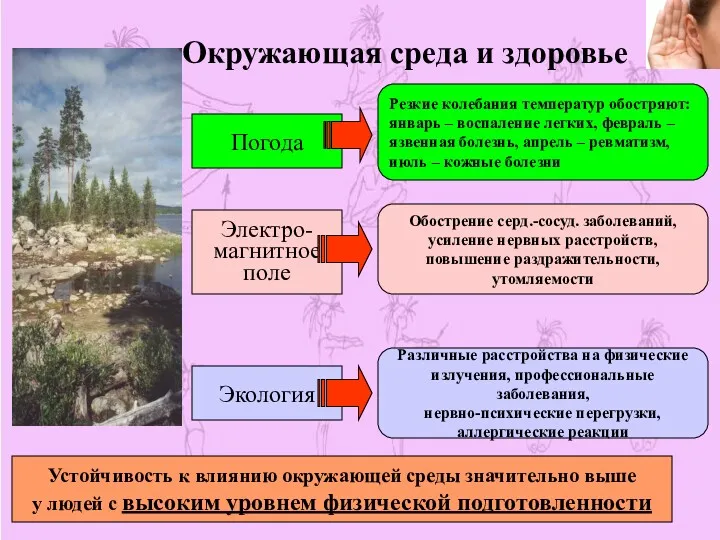 Окружающая среда и здоровье Погода Электро- магнитное поле Экология Резкие