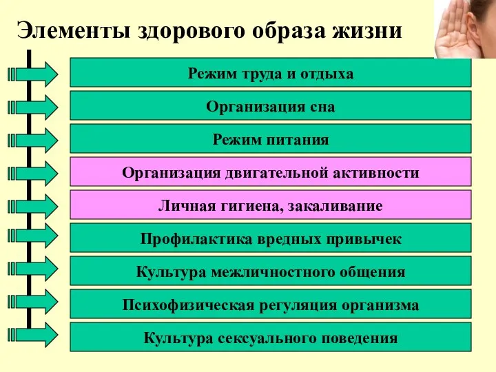 Элементы здорового образа жизни Режим труда и отдыха Организация двигательной