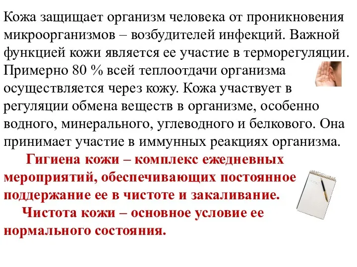 Кожа защищает организм человека от проникновения микроорганизмов – возбудителей инфекций.