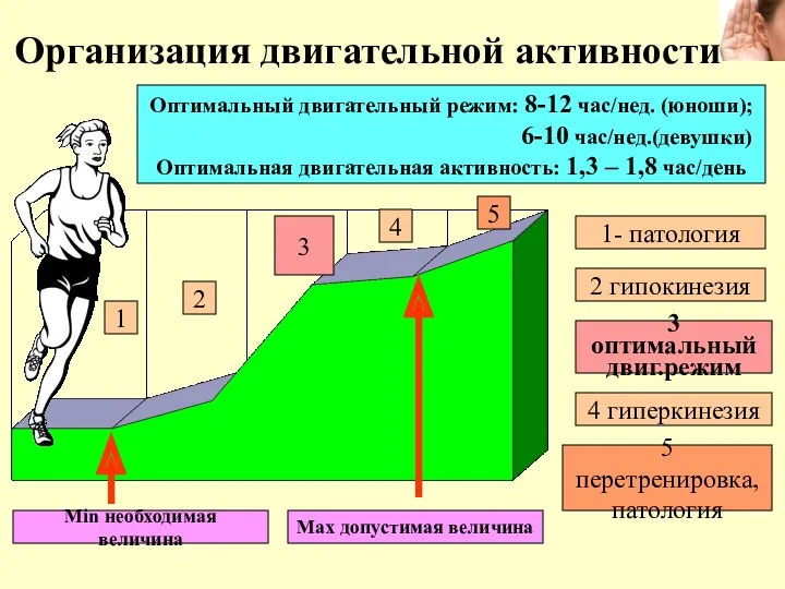 Организация двигательной активности 1 2 3 4 5 Min необходимая