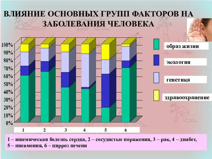 ВЛИЯНИЕ ОСНОВНЫХ ГРУПП ФАКТОРОВ НА ЗАБОЛЕВАНИЯ ЧЕЛОВЕКА образ жизни экология