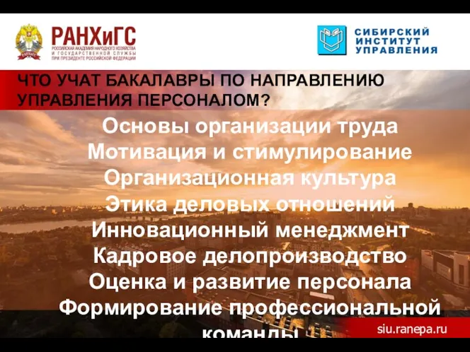 ЧТО УЧАТ БАКАЛАВРЫ ПО НАПРАВЛЕНИЮ УПРАВЛЕНИЯ ПЕРСОНАЛОМ? Основы организации труда Мотивация и стимулирование