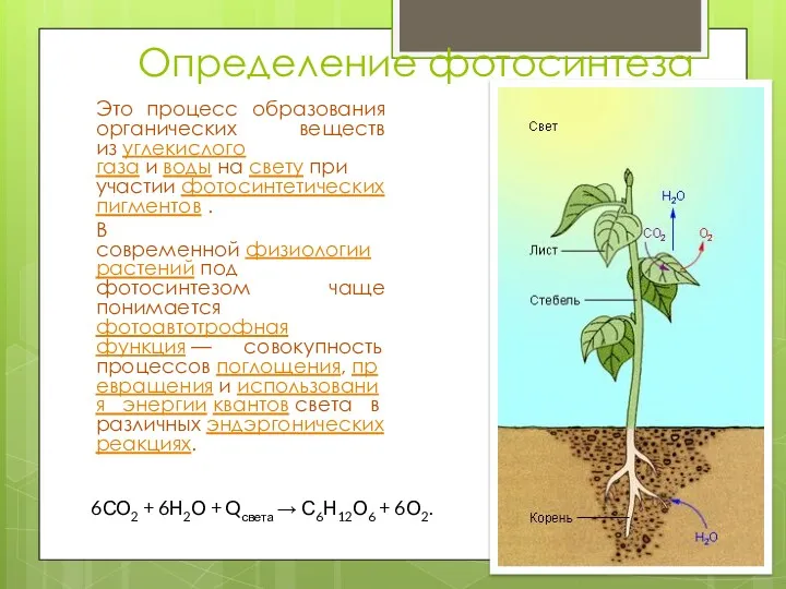 Определение фотосинтеза Это процесс образования органических веществ из углекислого газа