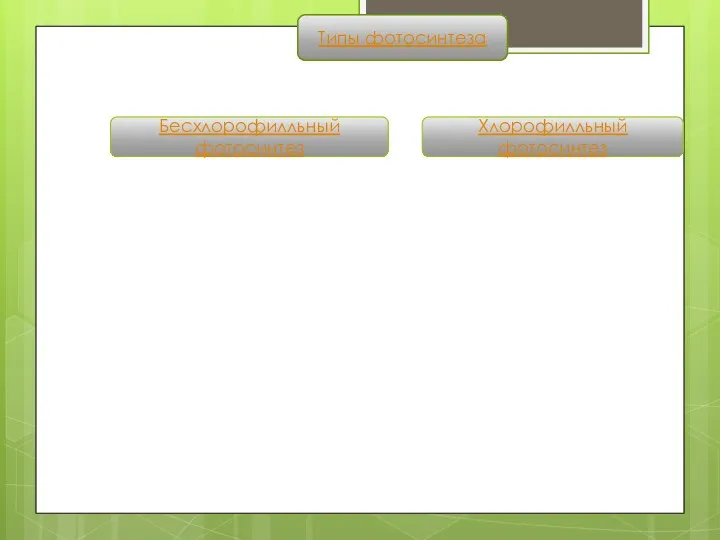 Типы фотосинтеза Бесхлорофилльный фотосинтез Хлорофилльный фотосинтез Оксигенный Аноксигенный Осуществляется археями