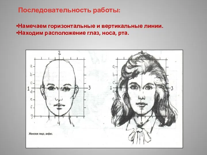 Последовательность работы: Намечаем горизонтальные и вертикальные линии. Находим расположение глаз, носа, рта.