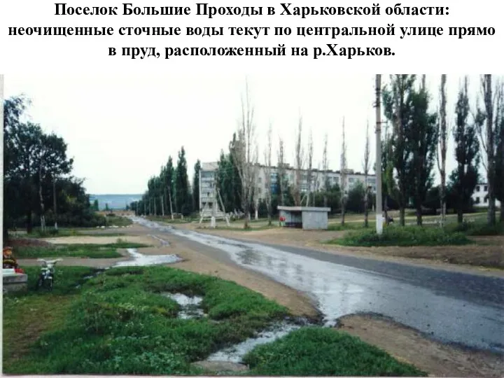 Поселок Большие Проходы в Харьковской области: неочищенные сточные воды текут
