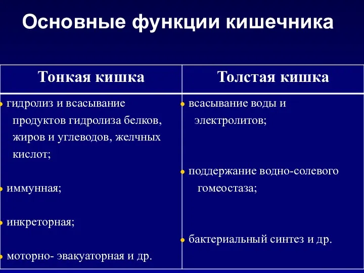 Основные функции кишечника