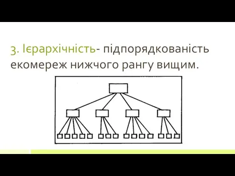 3. Ієрархічність- підпорядкованість екомереж нижчого рангу вищим.