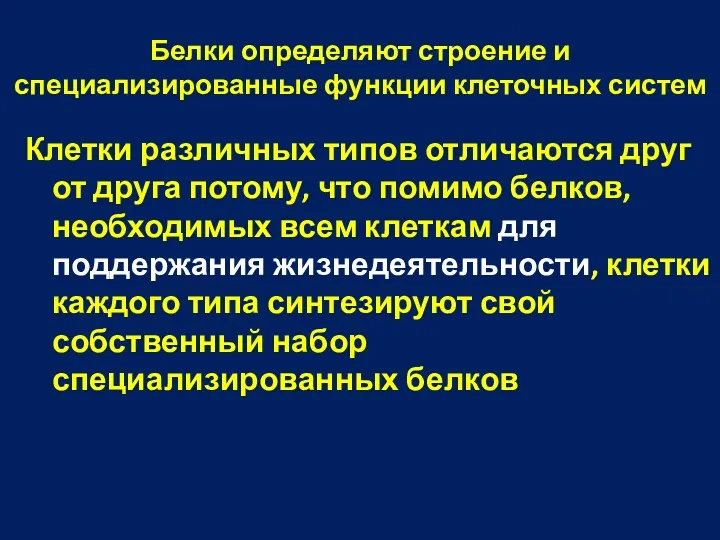 Белки определяют строение и специализированные функции клеточных систем Клетки различных