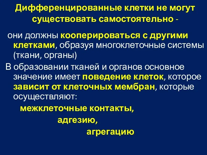 Дифференцированные клетки не могут существовать самостоятельно - они должны кооперироваться